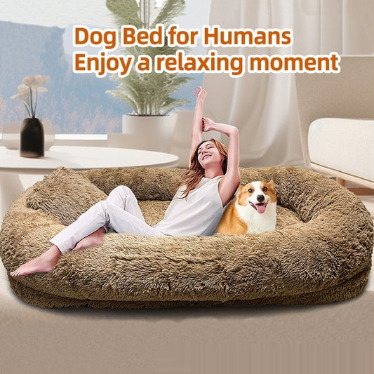 Cozy Queen Bed Sofa – Snuggle with Your Pup - EzPets Shop