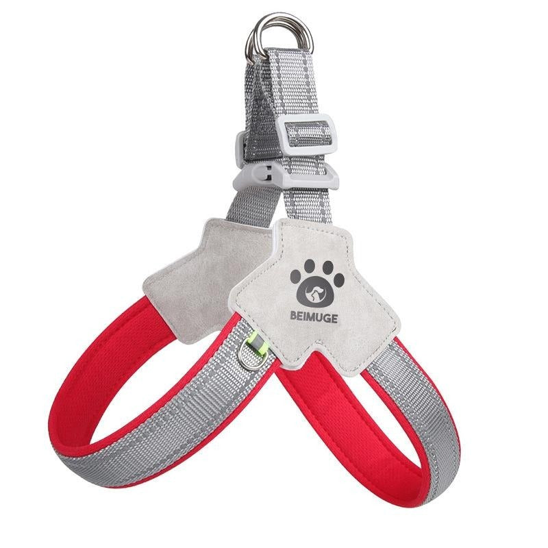 Adjustable Dog & Cat Harness Set - EzPets Shop