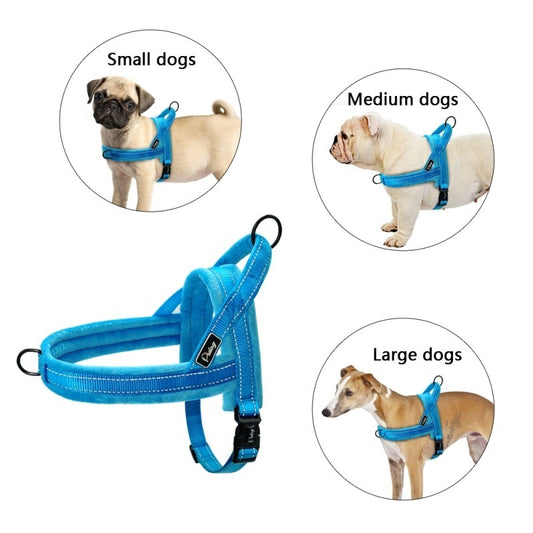 No-Pull Harness with Padded Leash - EzPets Shop
