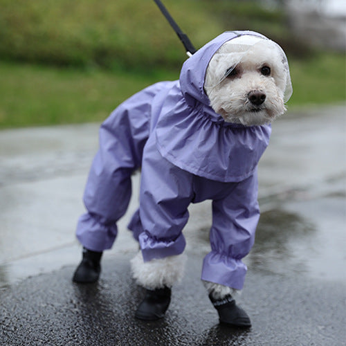 Teddy’s Rain Suit – Waterproof & Adorable - EzPets Shop