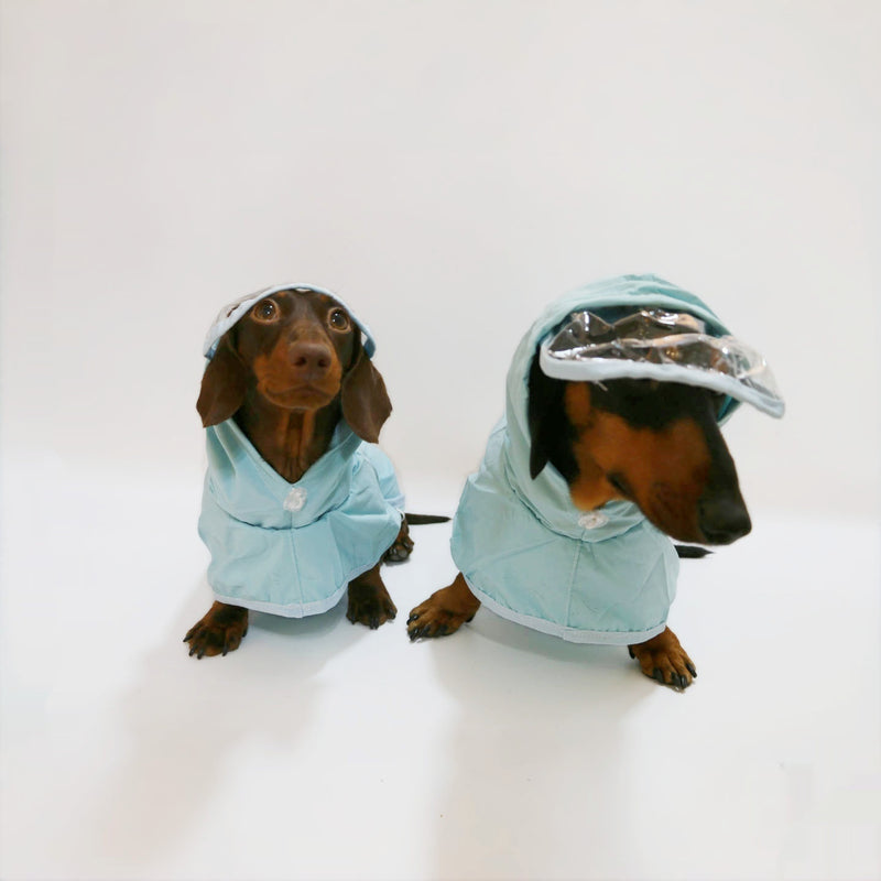 Pup Poncho with Hood – Stay Dry in Style!