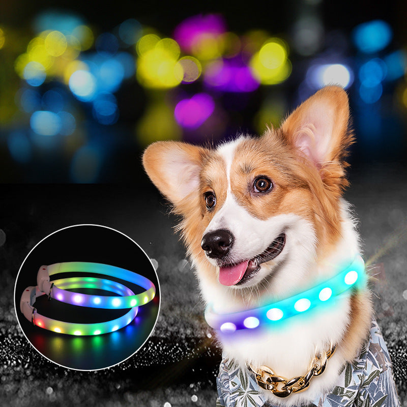 LED Dog Collar – Night Walk Safety & Style - EzPets Shop