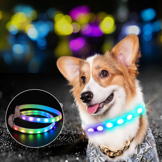 LED Dog Collar – Night Walk Safety & Style - EzPets Shop
