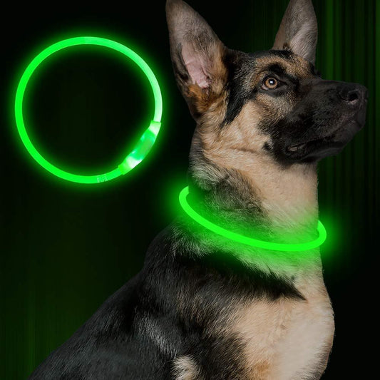 USB Rechargeable Pet Collar – Flashing Night Light - EzPets Shop