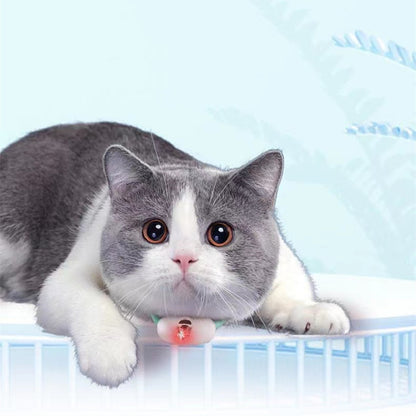 USB Laser Cat Collar – Smart Play for Active Kittens - EzPets Shop