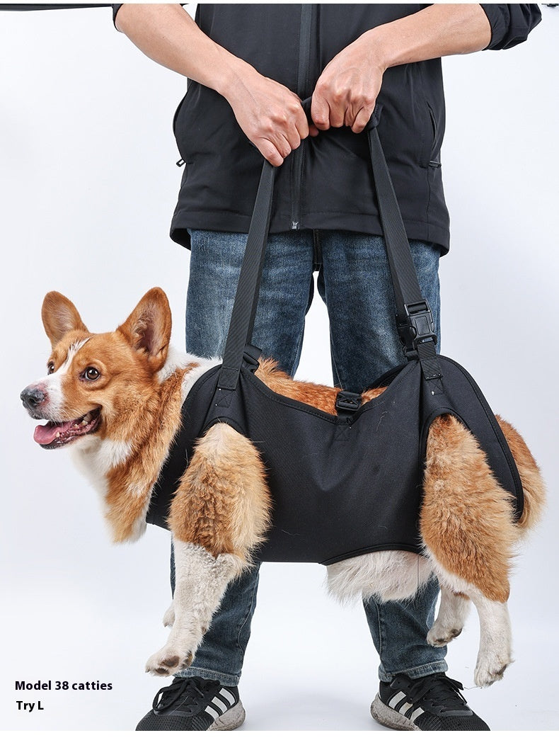 Support Strap – Help Injured Dogs Walk with Ease - EzPets Shop