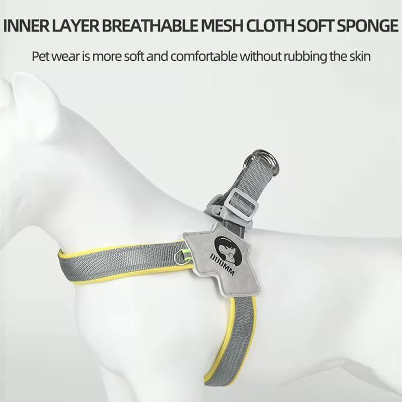 Adjustable Dog & Cat Harness Set - EzPets Shop