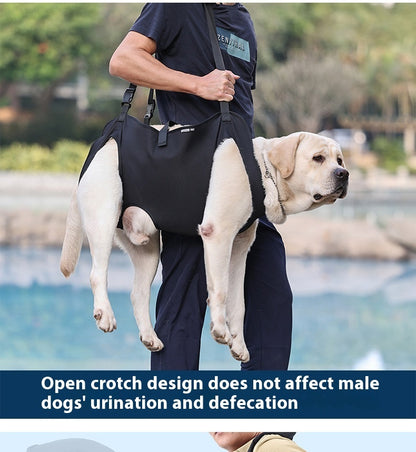 Support Strap – Help Injured Dogs Walk with Ease - EzPets Shop