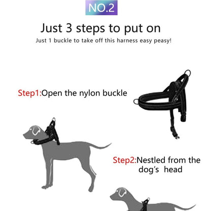 No-Pull Harness with Padded Leash - EzPets Shop