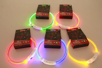 USB Rechargeable Pet Collar – Flashing Night Light - EzPets Shop