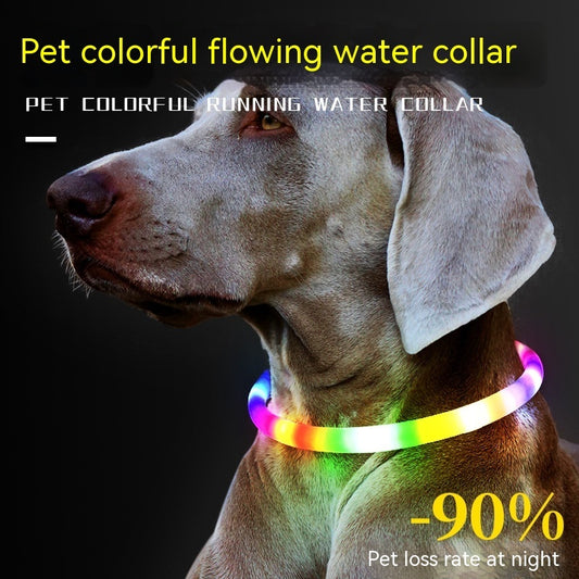 Fashion LED Dog Collar – Light Up in Style - EzPets Shop