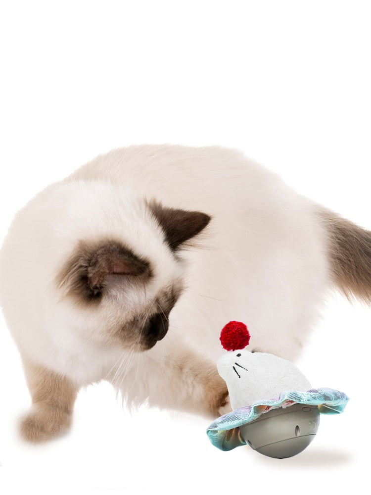 Laser Ball Toy – Rolling Fun for Active Cats - EzPets Shop