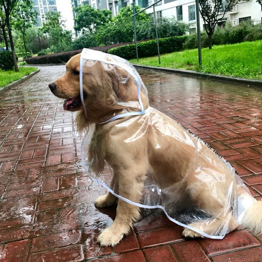 Big Dog Raincoat – Built for Rainy Adventures - EzPets Shop