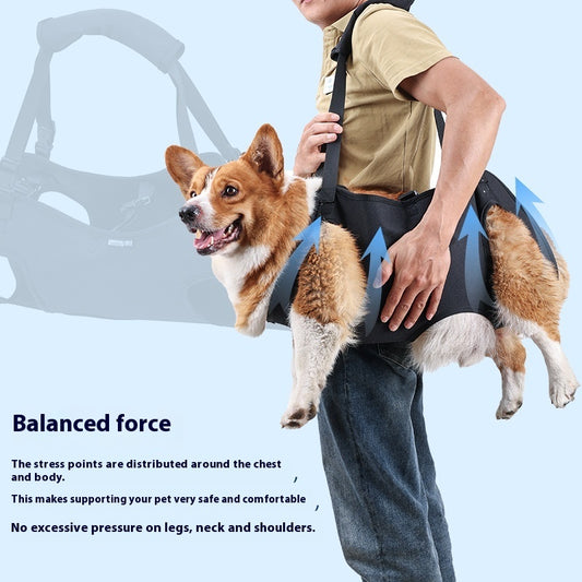 Support Strap – Help Injured Dogs Walk with Ease - EzPets Shop