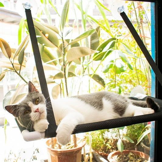 All-Season Cat Hammock – Window Nest & Rest - EzPets Shop