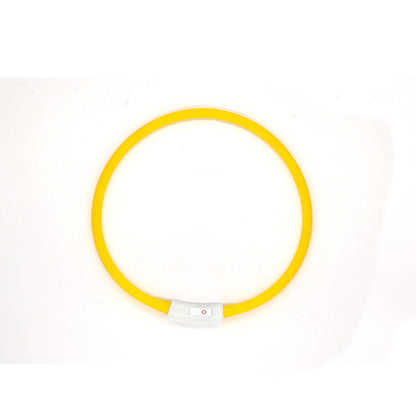 Fashion LED Dog Collar – Light Up in Style - EzPets Shop