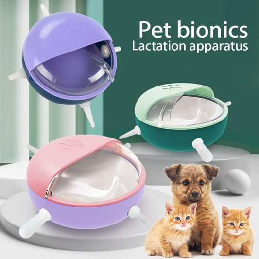Multi-Teat Puppy Feeder – Nurse Multiple Kittens - EzPets Shop