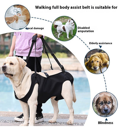 Support Strap – Help Injured Dogs Walk with Ease - EzPets Shop
